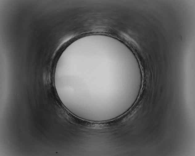 X0000086721166200705041322