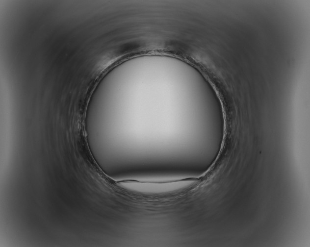 X0000086721169200705041322