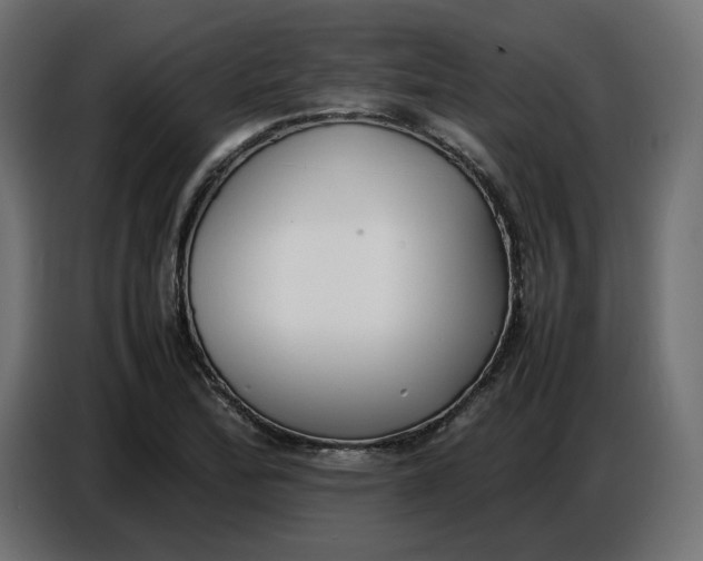X0000086721172200705041322
