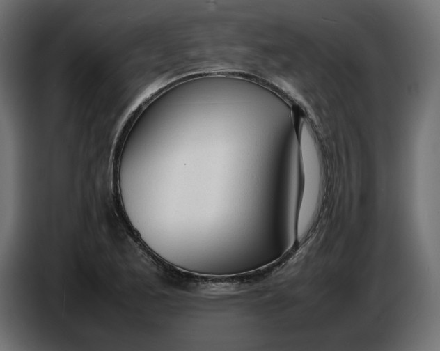 X0000086721173200705041322