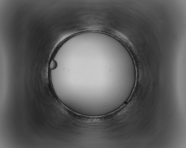 X0000086721174200705041322
