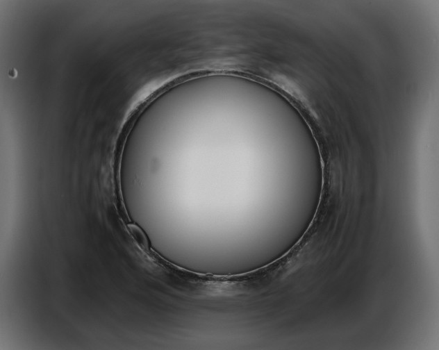 X0000086721176200705041322