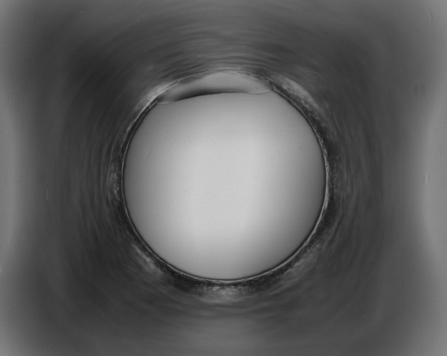 X0000086721177200705041322