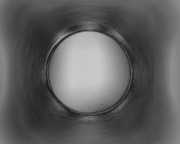 X0000086721178200705041322