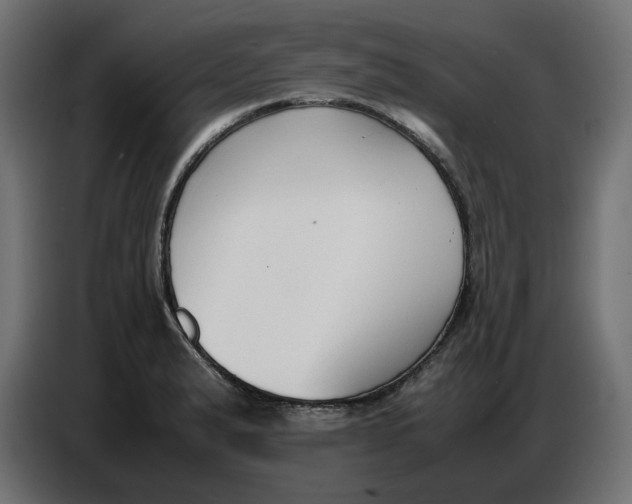 X0000086721183200705041321