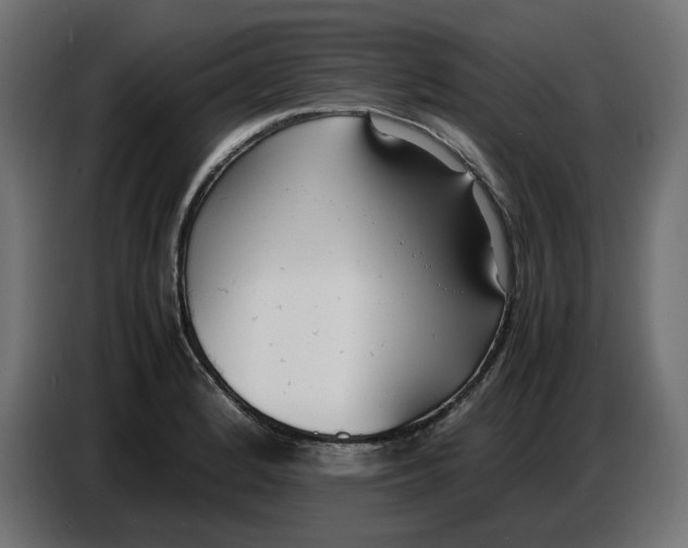 X0000086721184200705041321