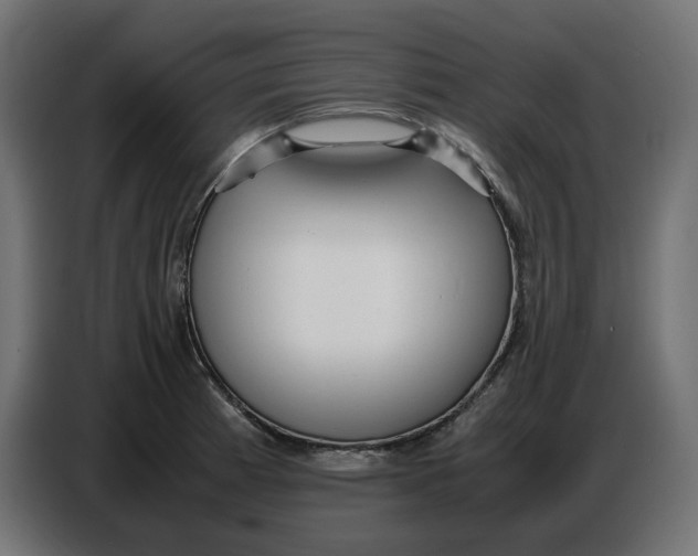 X0000086721185200705041321