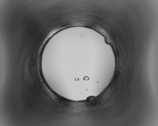 X0000086721187200705041321