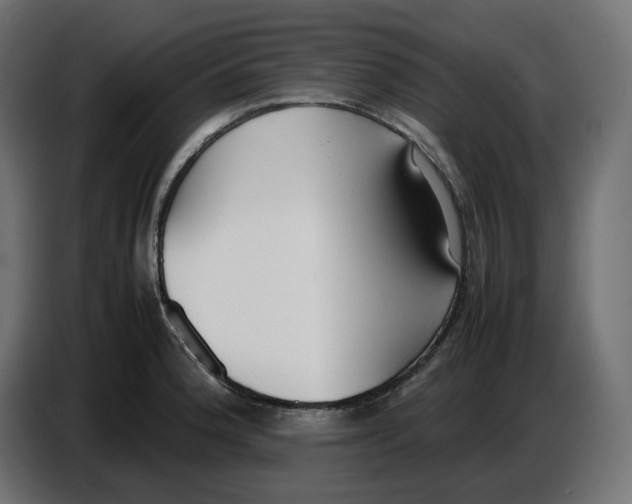 X0000086721188200705041321