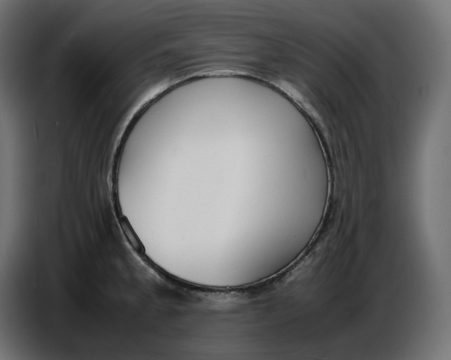 X0000086721189200705041321