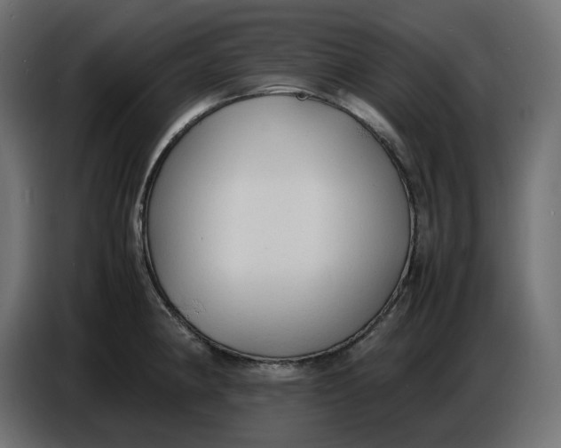 X0000086721190200705041321