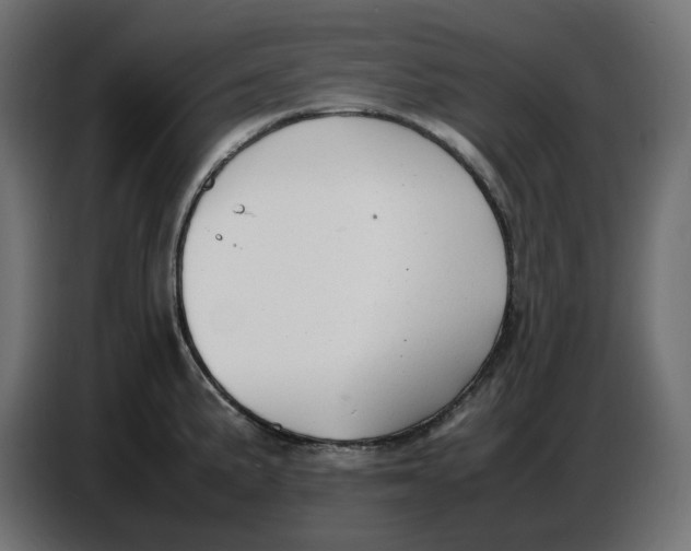 X0000086721191200705041321