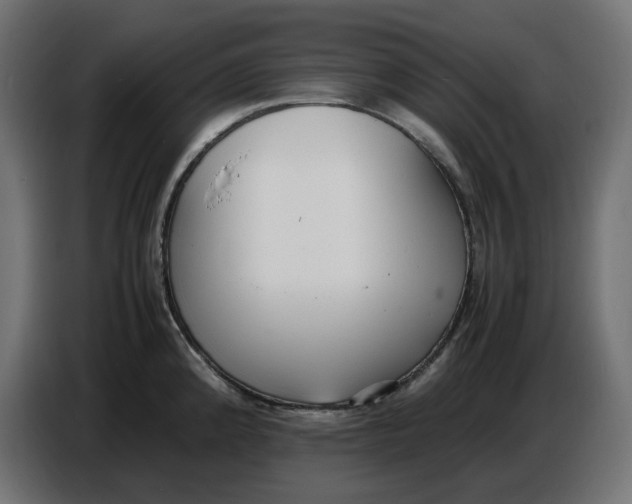 X0000086721192200705041321