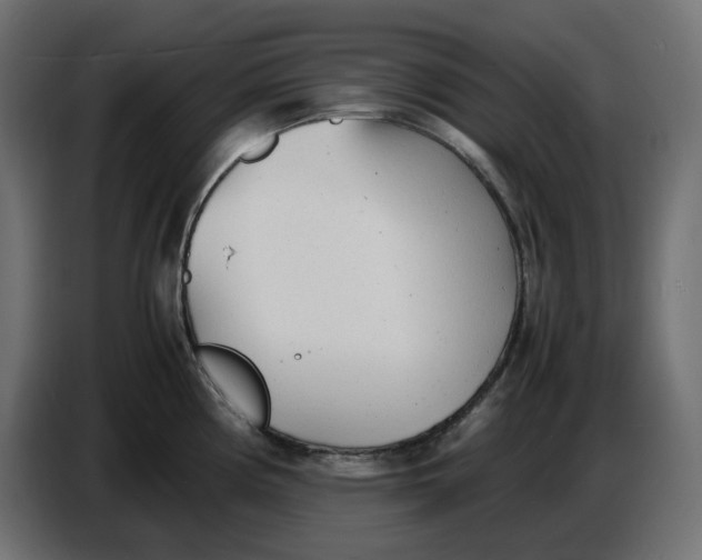 X0000086721194200705041321