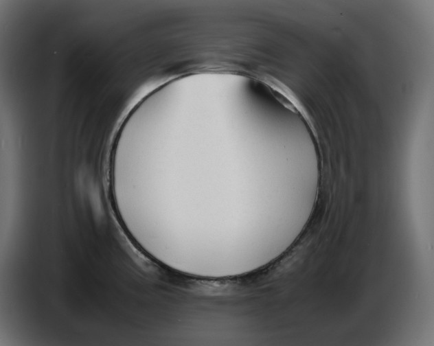 X0000086721195200705041321