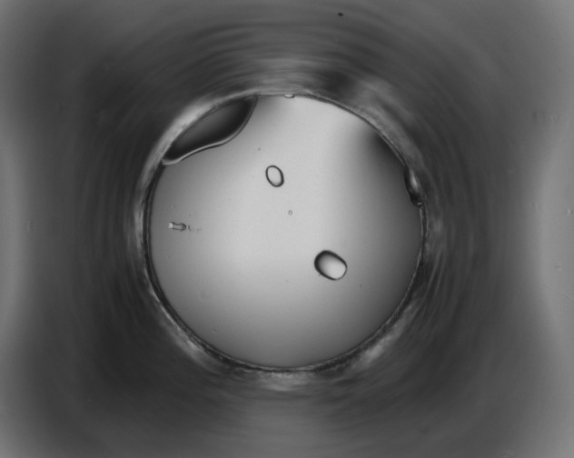 X0000086721196200705041321