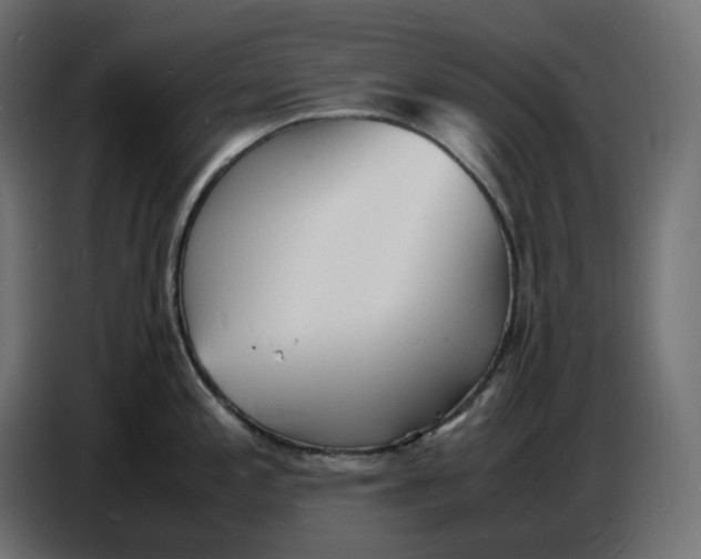 X0000086721197200705041321