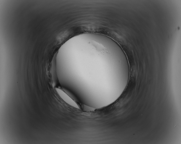 X0000086721202200705041321