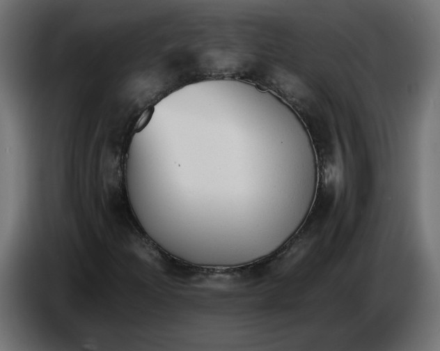 X0000086721204200705041321