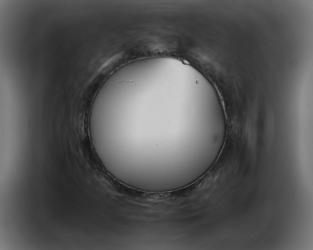 X0000086721205200705041321