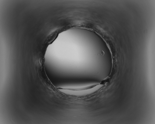 X0000086721206200705041321