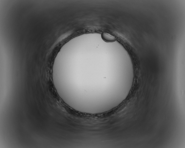 X0000086721207200705041321