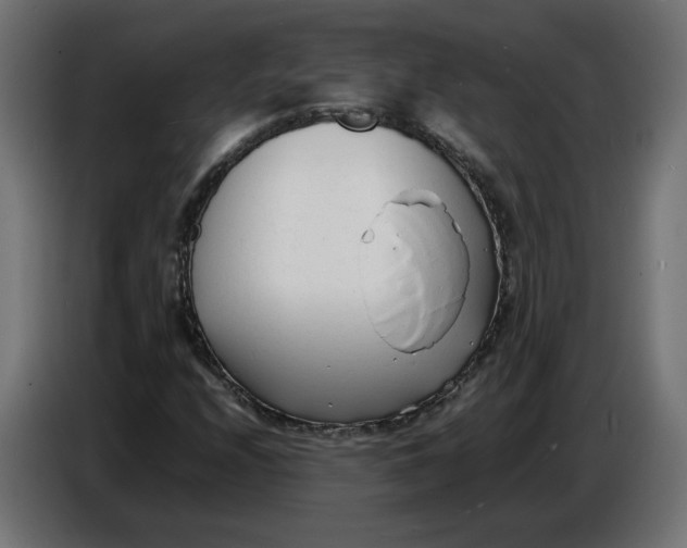 X0000086721208200705041321