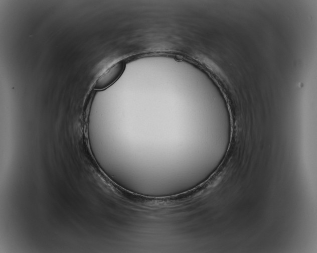 X0000086721212200705041321