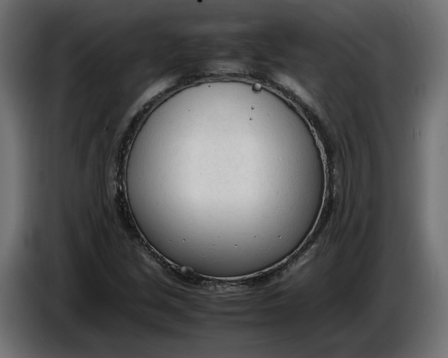 X0000086721213200705041321