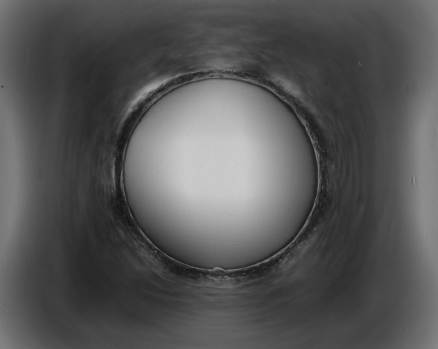 X0000086721214200705041321