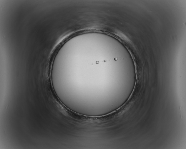 X0000086721216200705041321