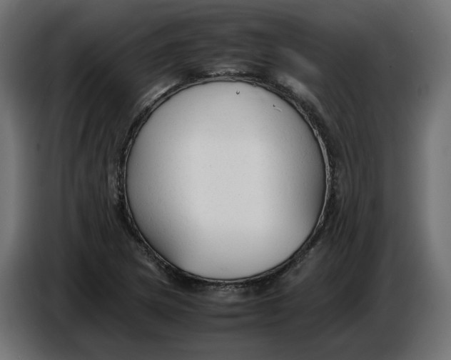 X0000086721217200705041321