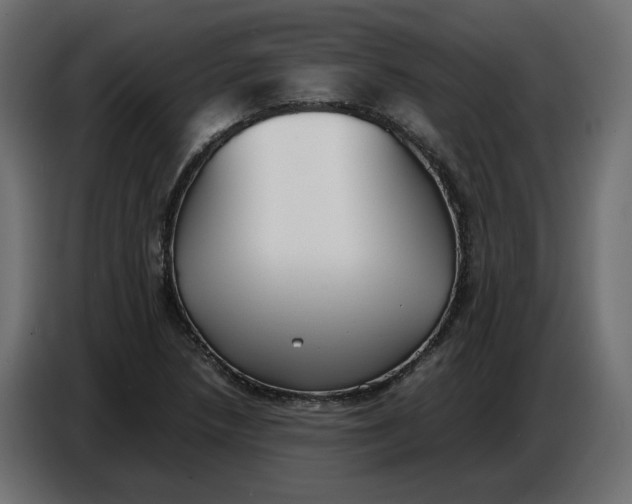 X0000086721218200705041321