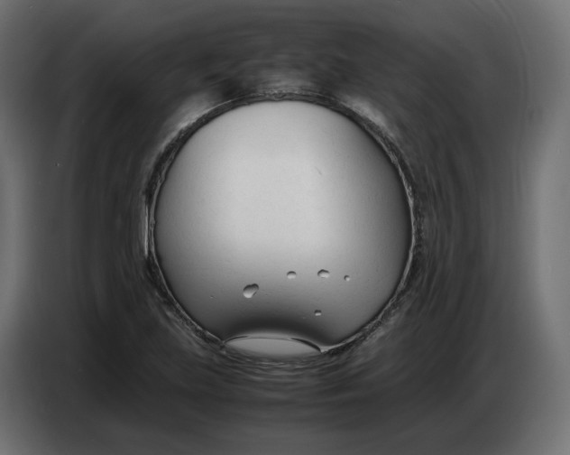 X0000086721219200705041321