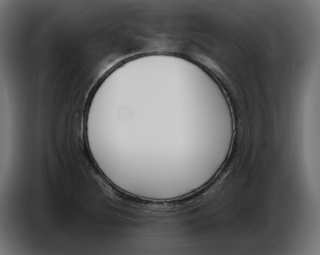 X0000086721220200705041321
