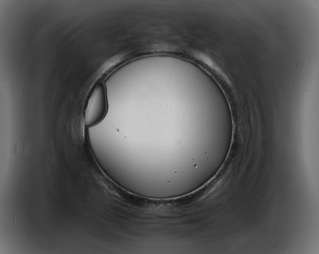 X0000086721221200705041321