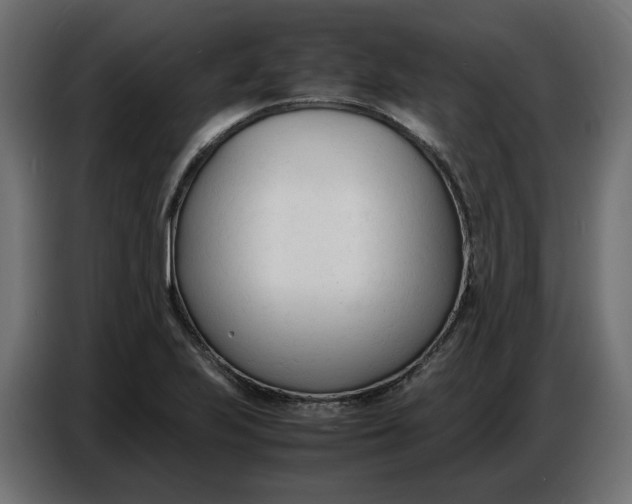 X0000086721223200705041321