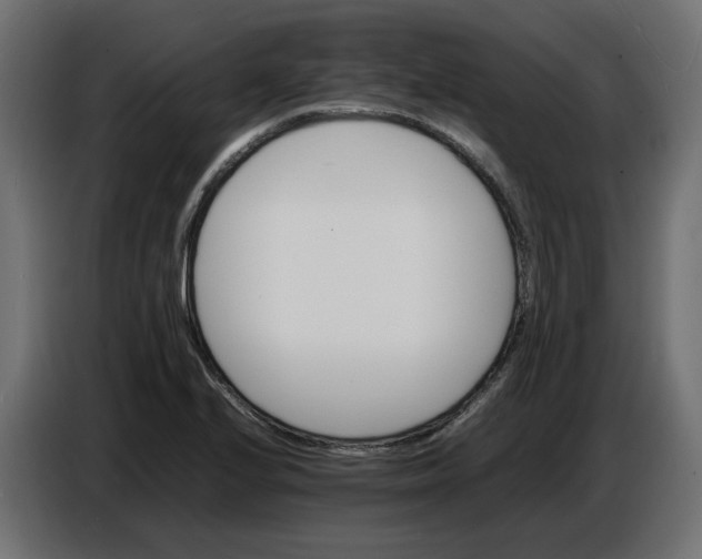 X0000086721224200705041321