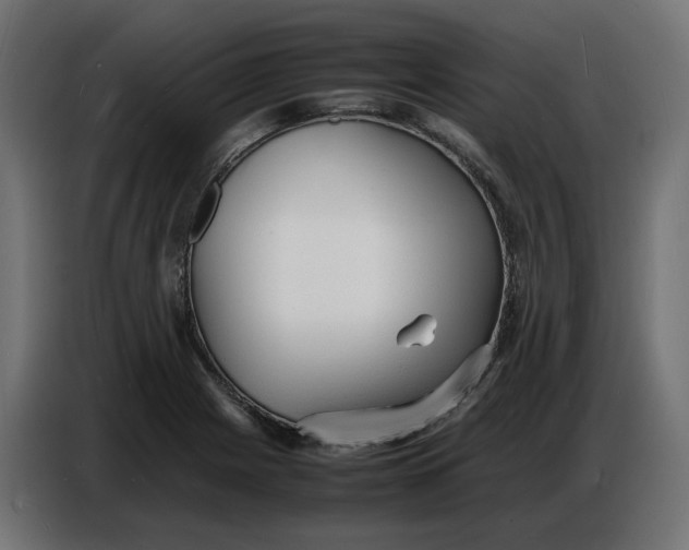 X0000086721225200705041321