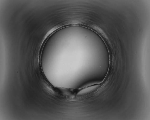 X0000086721226200705041321