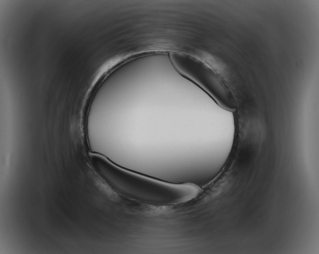 X0000086721230200705041321