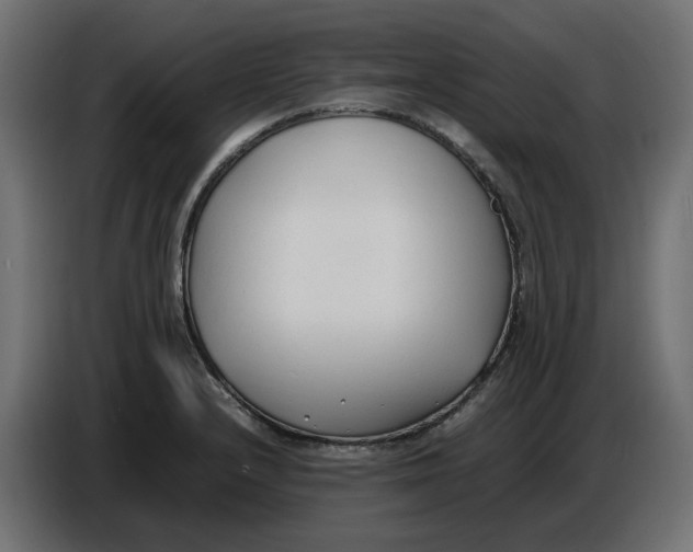 X0000086721232200705041321