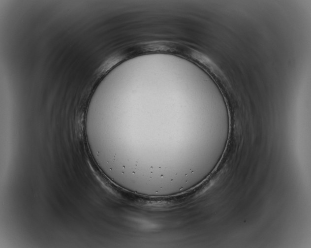 X0000086721233200705041321