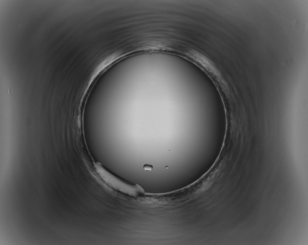 X0000086721234200705041321