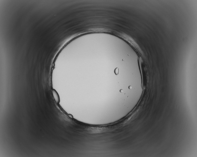X0000086721236200705041321
