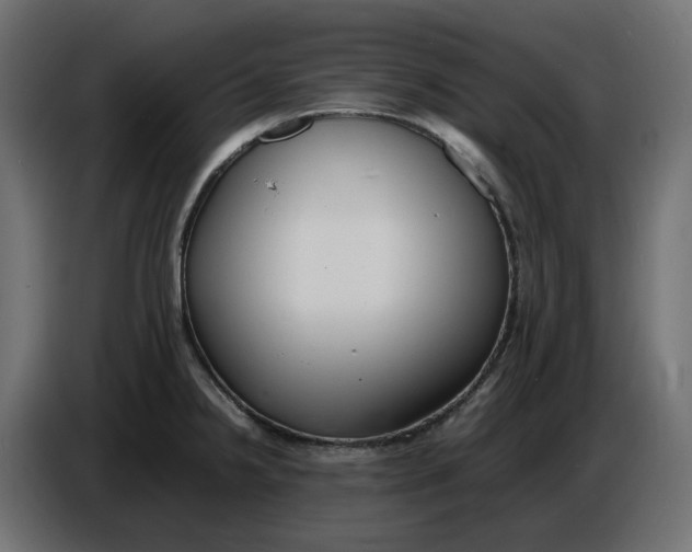 X0000086721238200705041321
