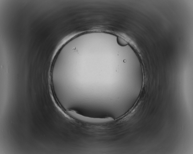 X0000086721239200705041321