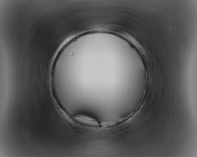 X0000086721240200705041321