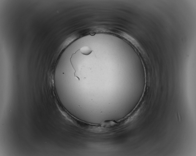 X0000086721241200705041321