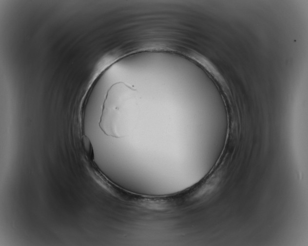 X0000086721242200705041321